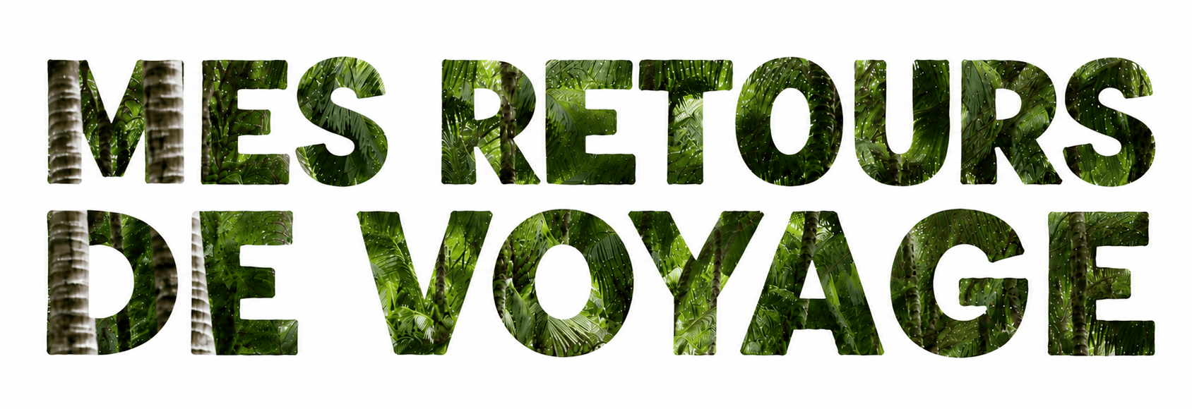 Mes retours de voyage