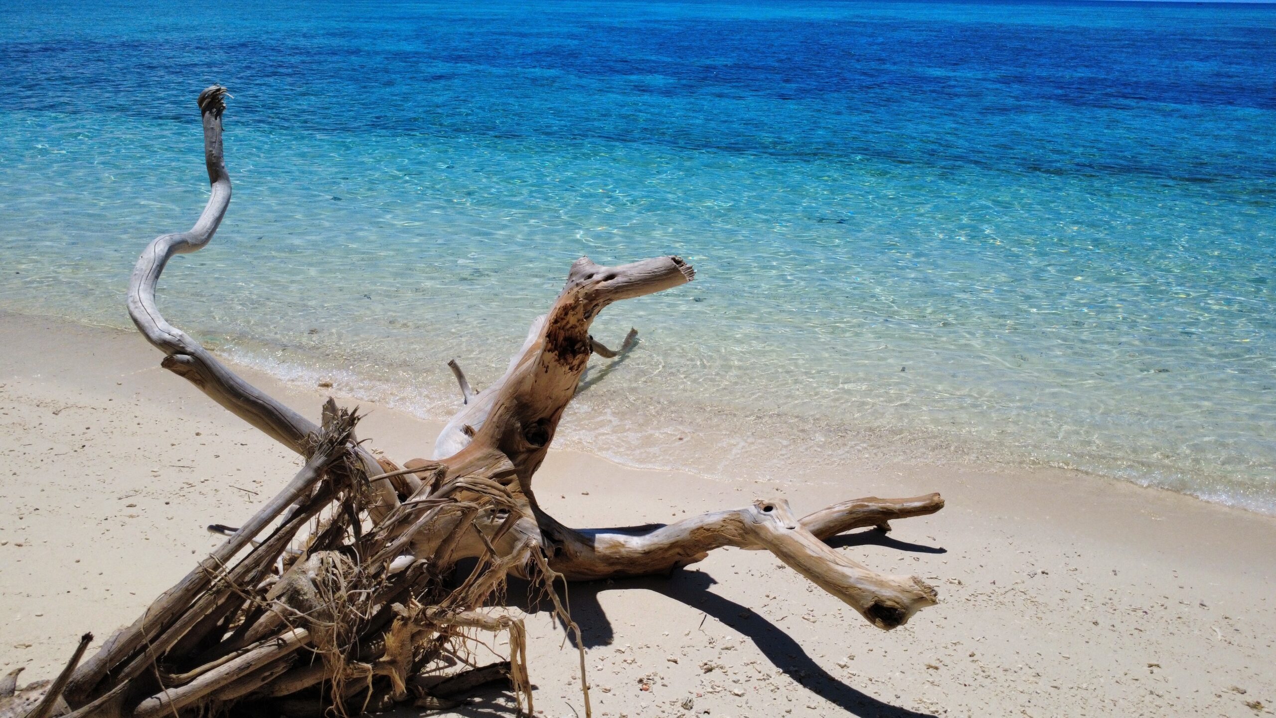Siquijor